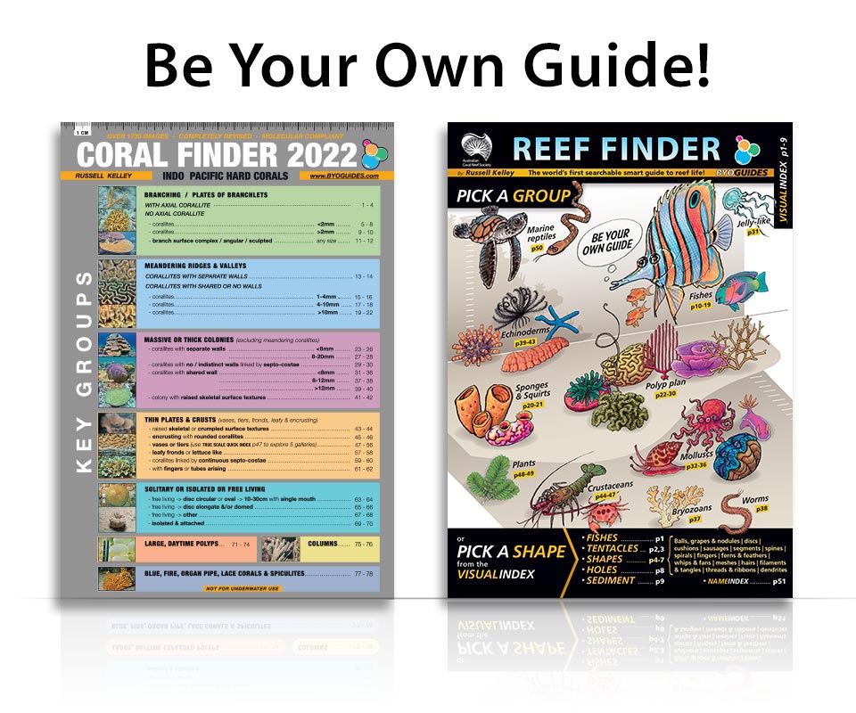 Be Your Own Guide! with Coral Finder and Reef Finder
