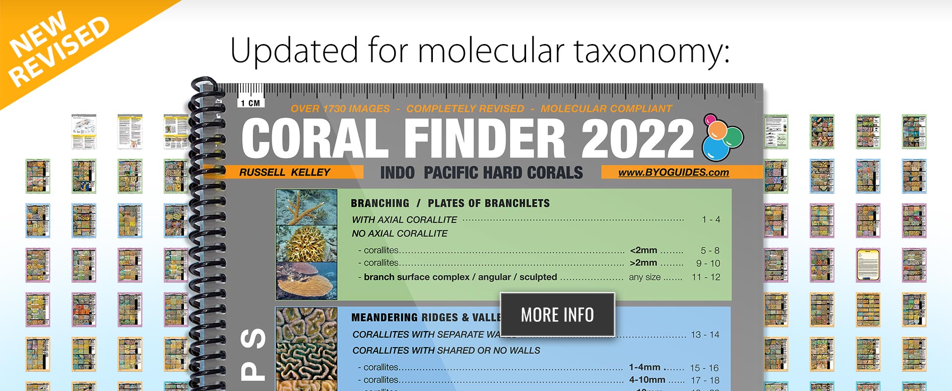 Coral Finder 2022 - updated for molecular taxonomy