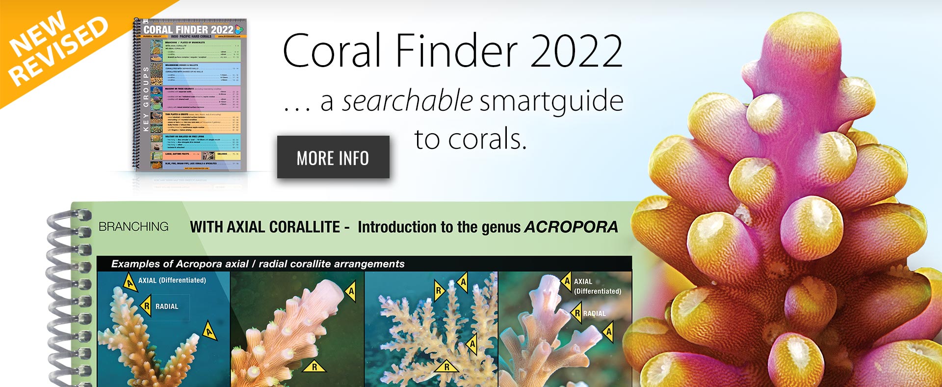 Coral Finder 2022 - a searchable smartguide to corals