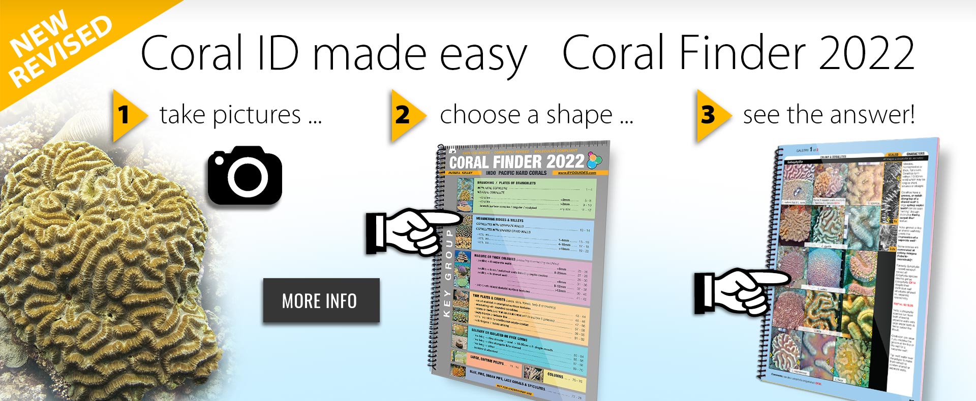 Coral Finder 2022 - coral ID made easy 1: take pictures 2: choose a shape 3: see the answer!