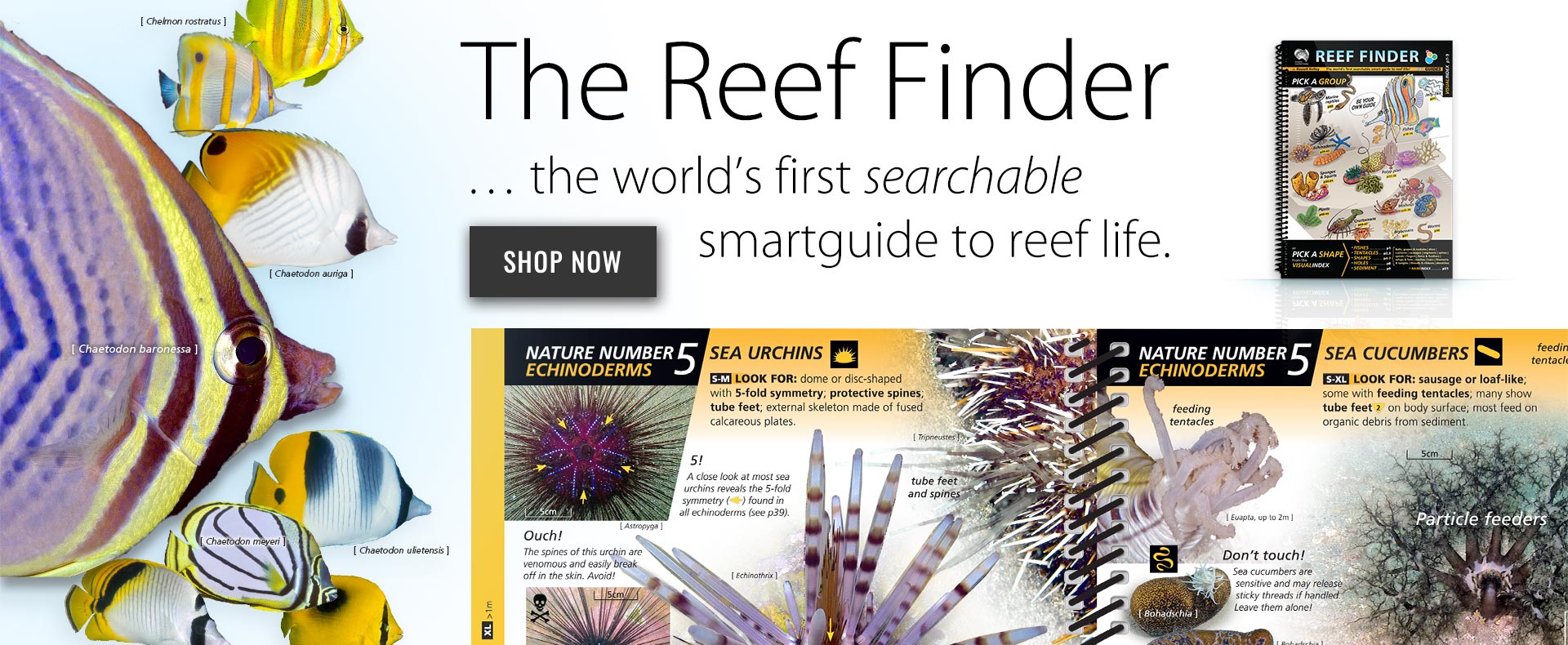 The Reef Finder ... the world’s first searchable smartguide to reef life.