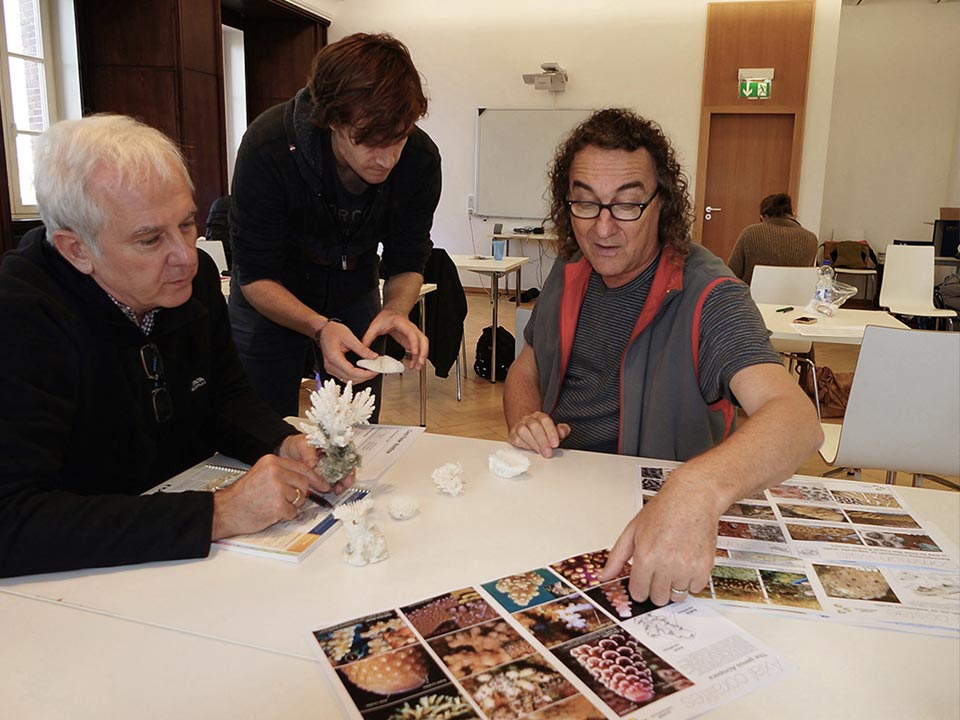 CORAL ID WORKSHOP TOWNSVILLE (2 days at James Cook University) November 20 - 21, 2025: 8:30am  – 5pm (GMT+10:00)