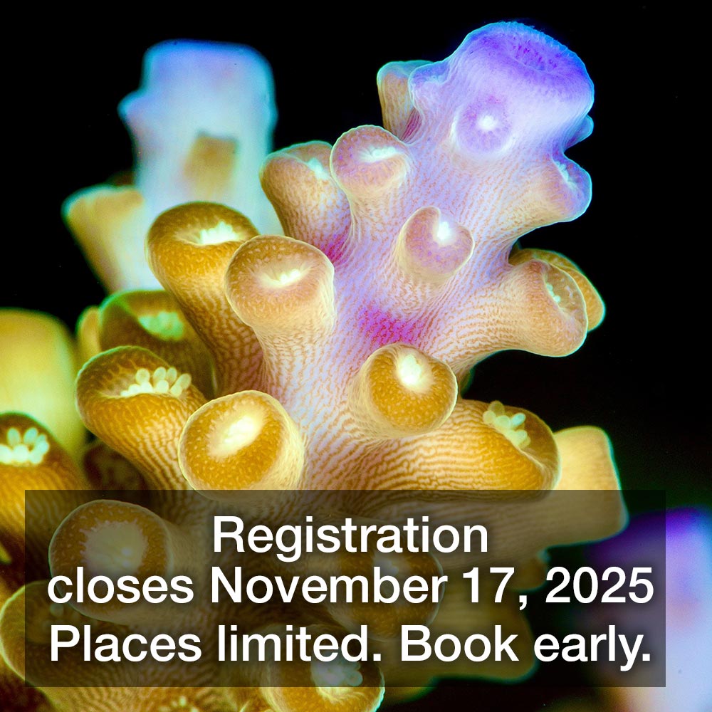CORAL ID WORKSHOP TOWNSVILLE (2 days at James Cook University) November 20 - 21, 2025: 8:30am  – 5pm (GMT+10:00)