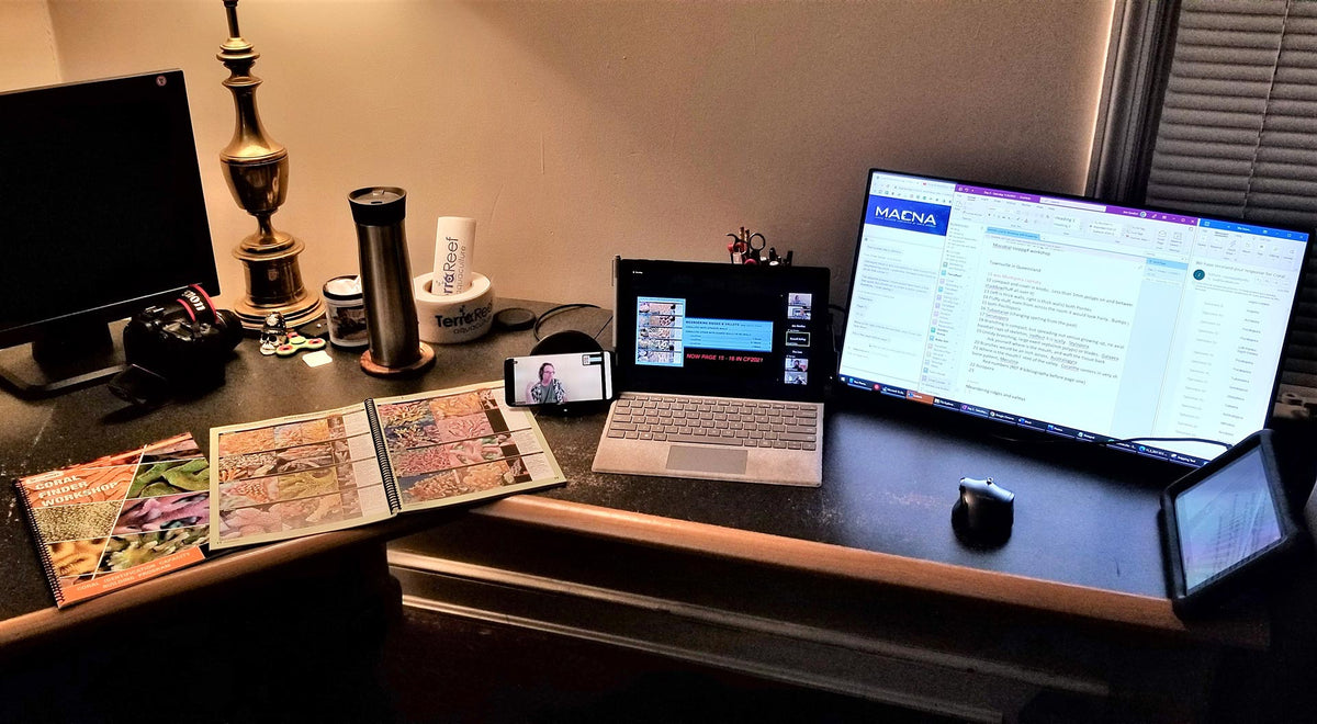 Online Coral ID workshop, November 23 - 26, 2023: 7pm – 11pm (GMT+10:00) Brisbane timezone