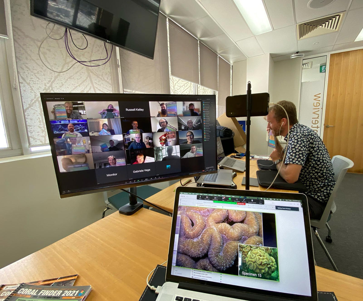 Online Coral ID workshop, January 19 - 22, 2024, 8:30am – 12:30pm (GMT+10:00) Brisbane timezone